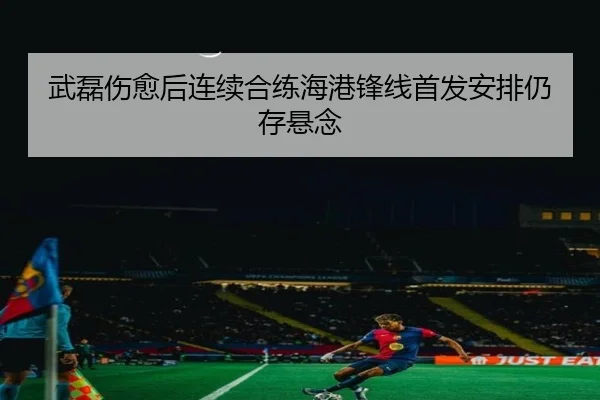 武磊伤愈后连续合练海港锋线首发安排仍存悬念 - LEYUSPORTS